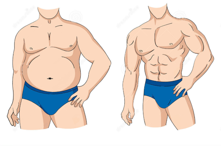 body transformation